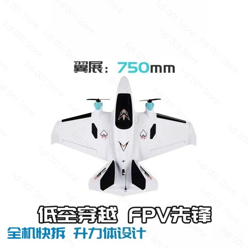 Dual Motor FPV Fixed Wing RC A - đánh giá và giá Fpv Racing Motor